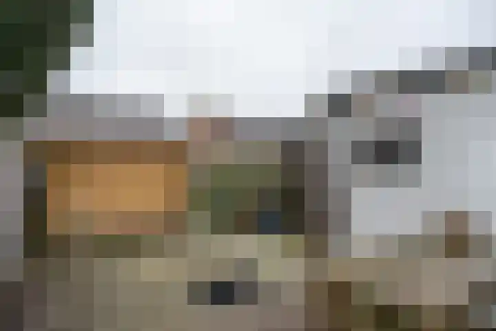 Muntmeesterstraat 22 Hedel thumbnail 27