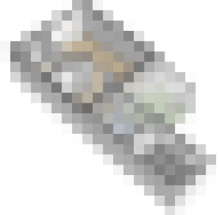 Muntmeesterstraat 22 Hedel thumbnail 34