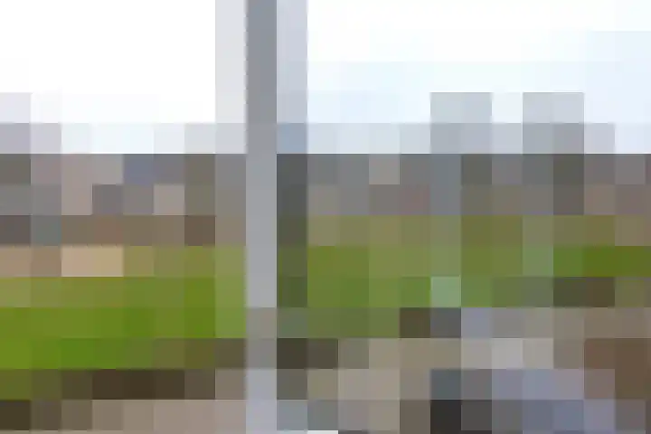 Muntslag 11 Houten thumbnail 28