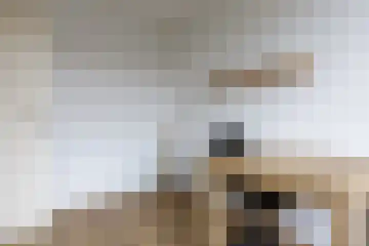 Muntslag 11 Houten thumbnail 30