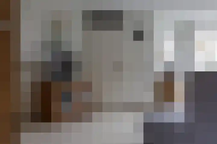 Muntslag 11 Houten thumbnail 4