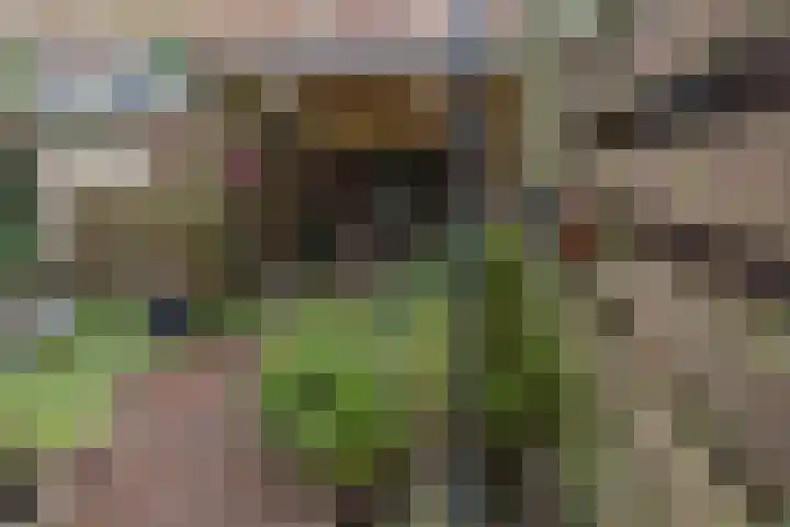Muntslag 11 Houten thumbnail 54