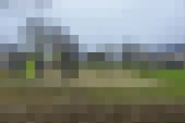 Muntslag 11 Houten thumbnail 55
