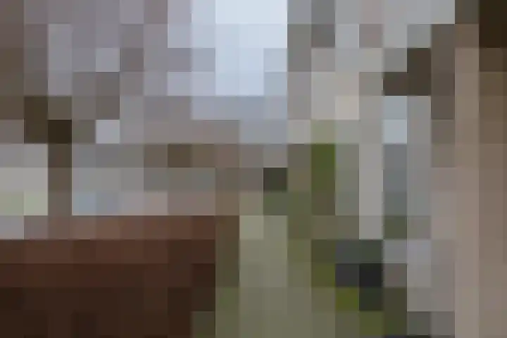 Muntslag 11 Houten thumbnail 62