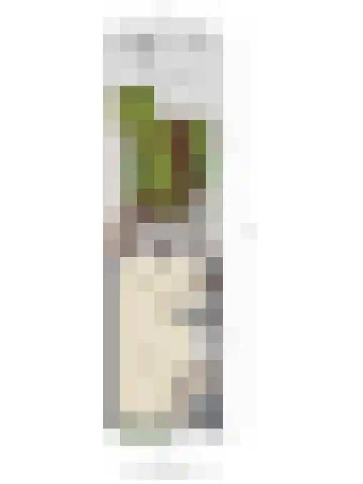 Muntslag 11 Houten thumbnail 71