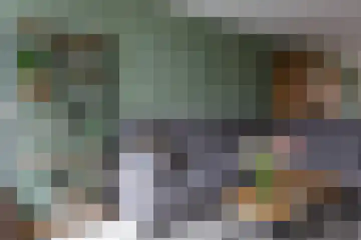 Muntslag 11 Houten thumbnail 8