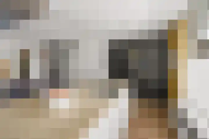 Muntslag 43 Houten thumbnail 7
