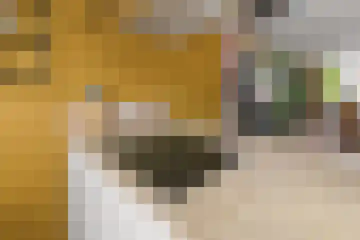 Muntslag 43 Houten thumbnail 8