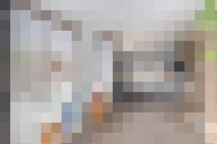 Muntstraat 10 Born thumbnail 14