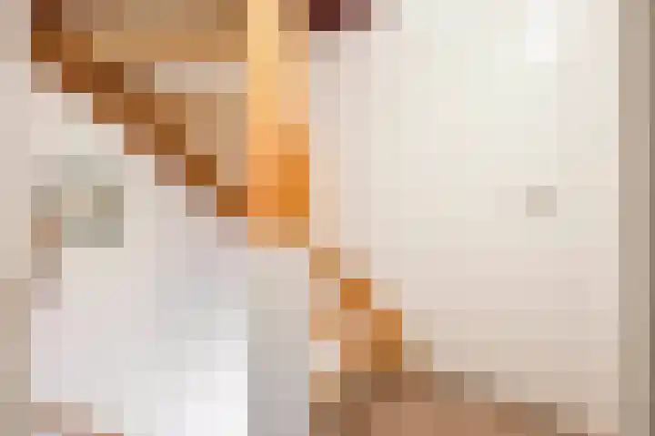 Muntstraat 12 Born thumbnail 15