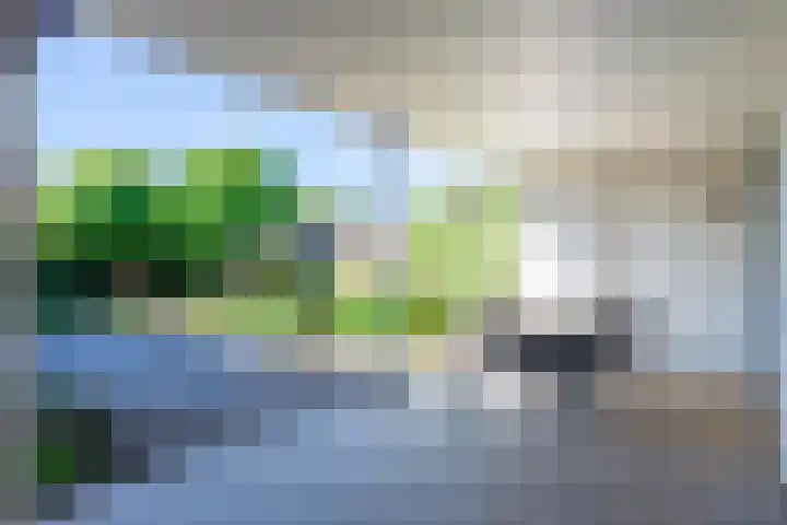 Muntstraat 21 Born thumbnail 31