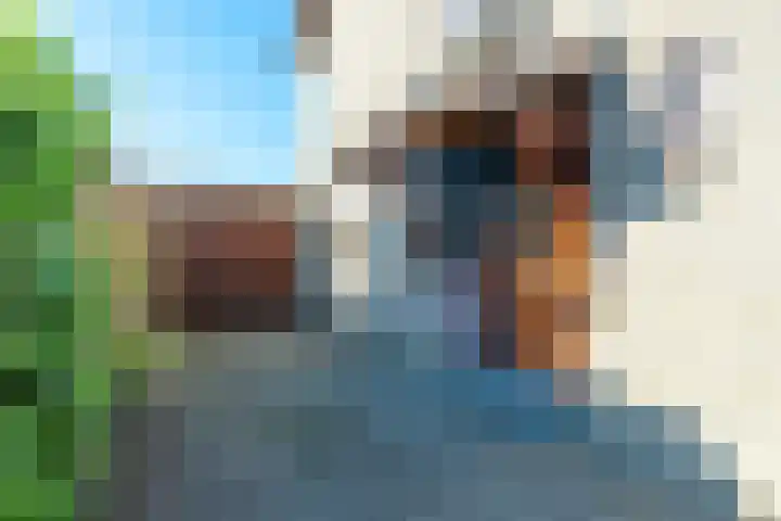 Muntstraat 21 Born thumbnail 4