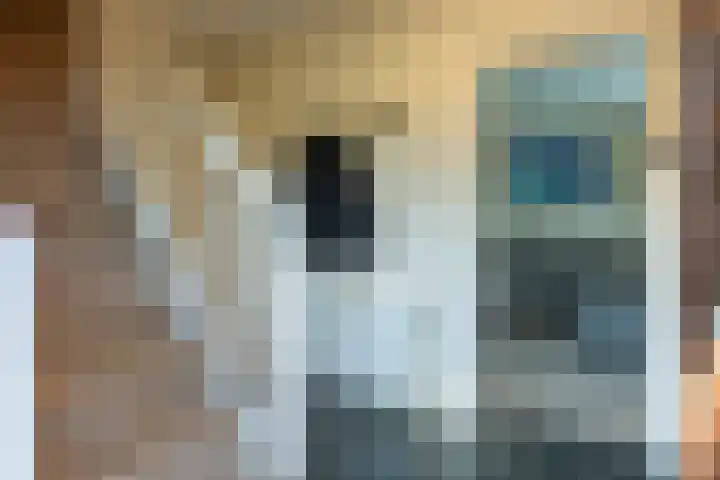 Muntstraat 21 Born thumbnail 5