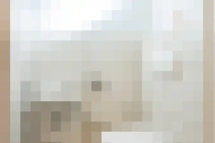 Muntstraat 21 Born thumbnail 6