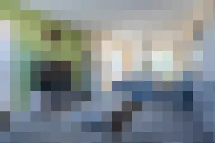 Muntstraat 21 Born thumbnail 9