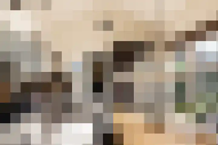Museumlaan 3 Huizen thumbnail 13