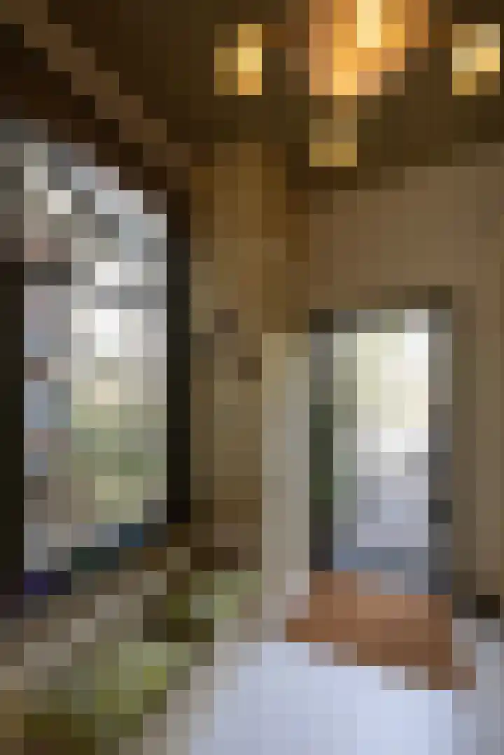 Museumlaan 3 Huizen thumbnail 15
