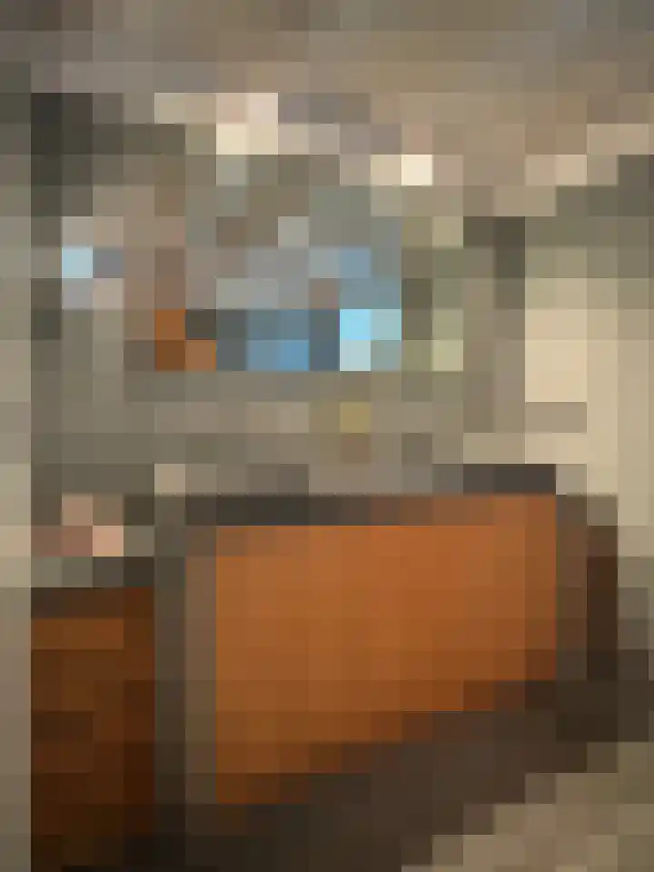 Museumlaan 3 Huizen thumbnail 27