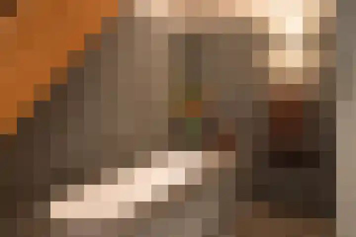 Museumlaan 3 Huizen thumbnail 29