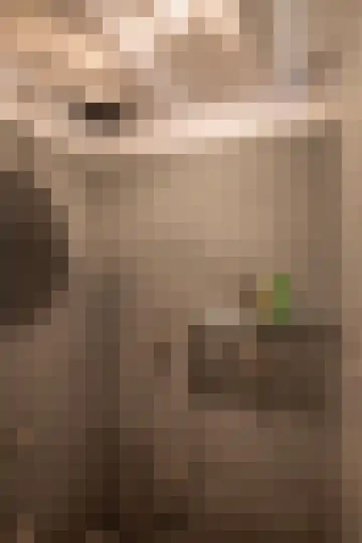 Museumlaan 3 Huizen thumbnail 30