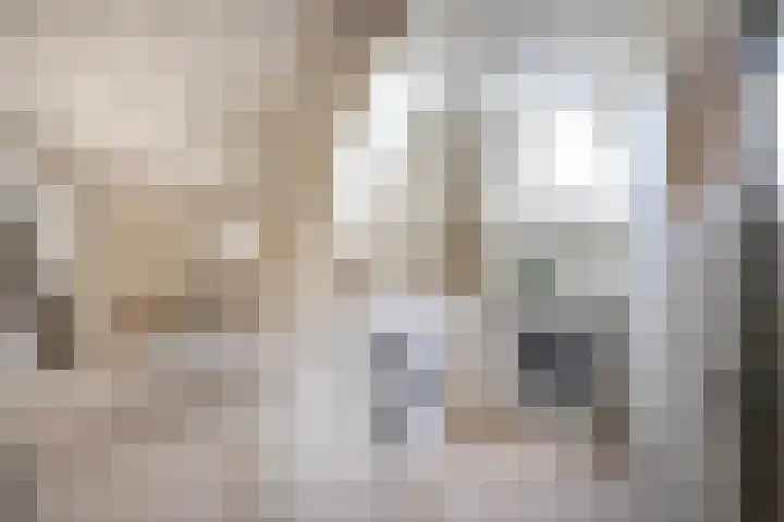 Museumlaan 3 Huizen thumbnail 45