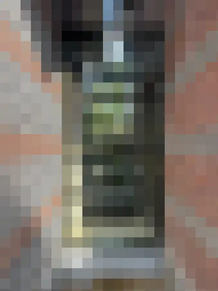 Museumlaan 3 Huizen thumbnail 51