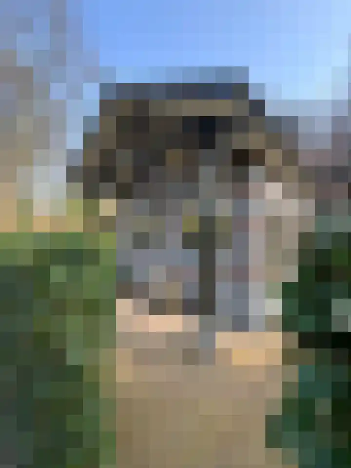 Museumlaan 3 Huizen thumbnail 52