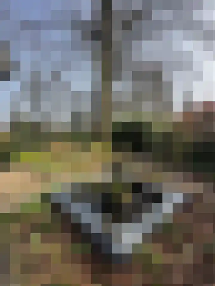 Museumlaan 3 Huizen thumbnail 55