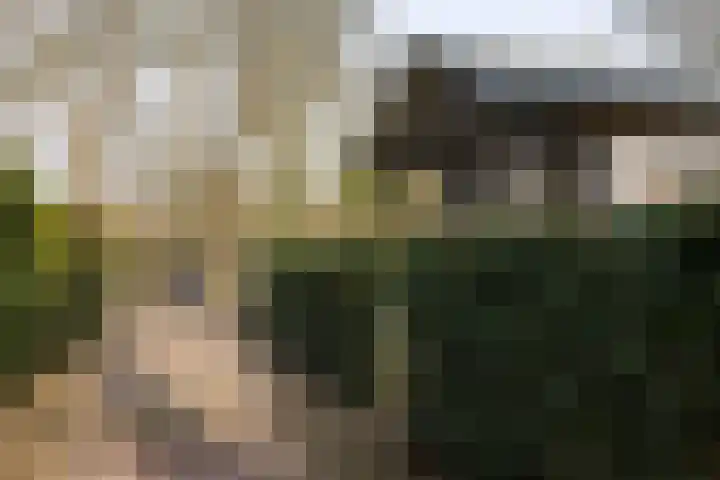 Museumlaan 3 Huizen thumbnail 58