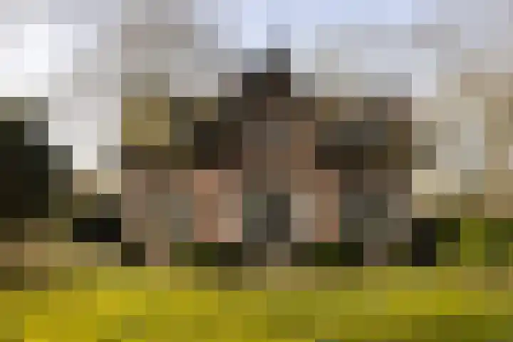 Museumlaan 3 Huizen thumbnail 62
