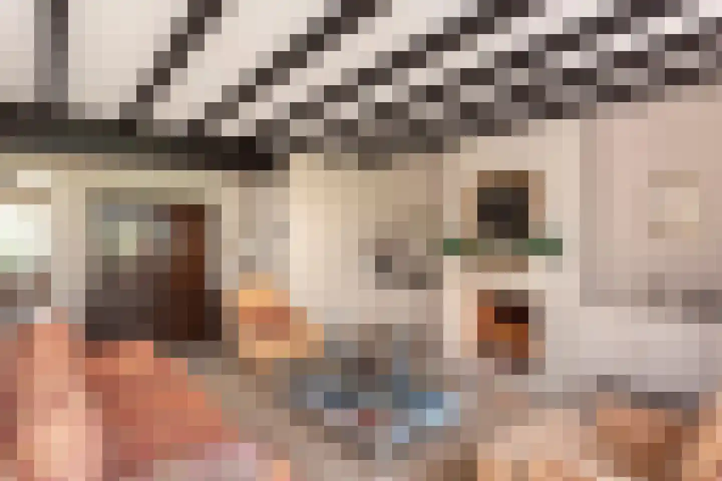 Museumlaan 7 Huizen thumbnail 10