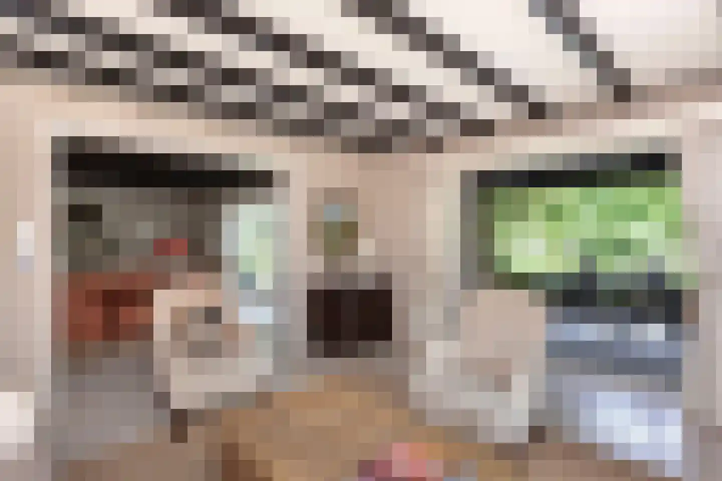 Museumlaan 7 Huizen thumbnail 12