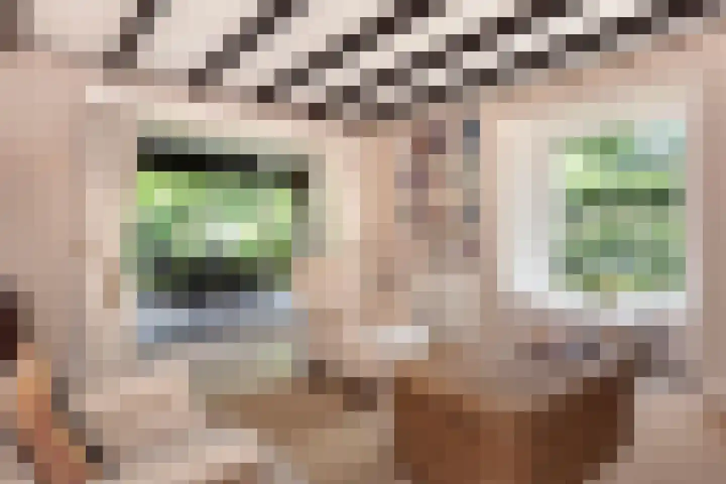 Museumlaan 7 Huizen thumbnail 13