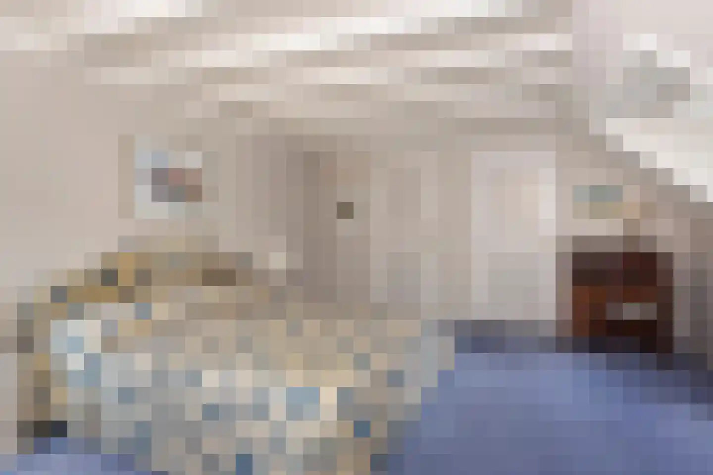 Museumlaan 7 Huizen thumbnail 21