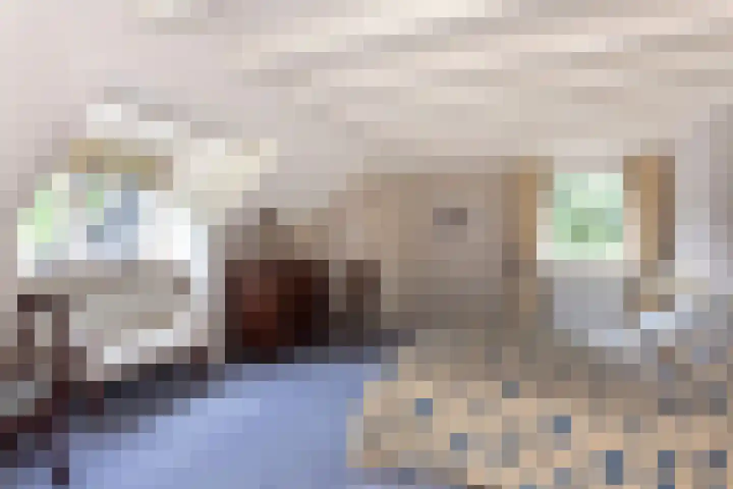 Museumlaan 7 Huizen thumbnail 22