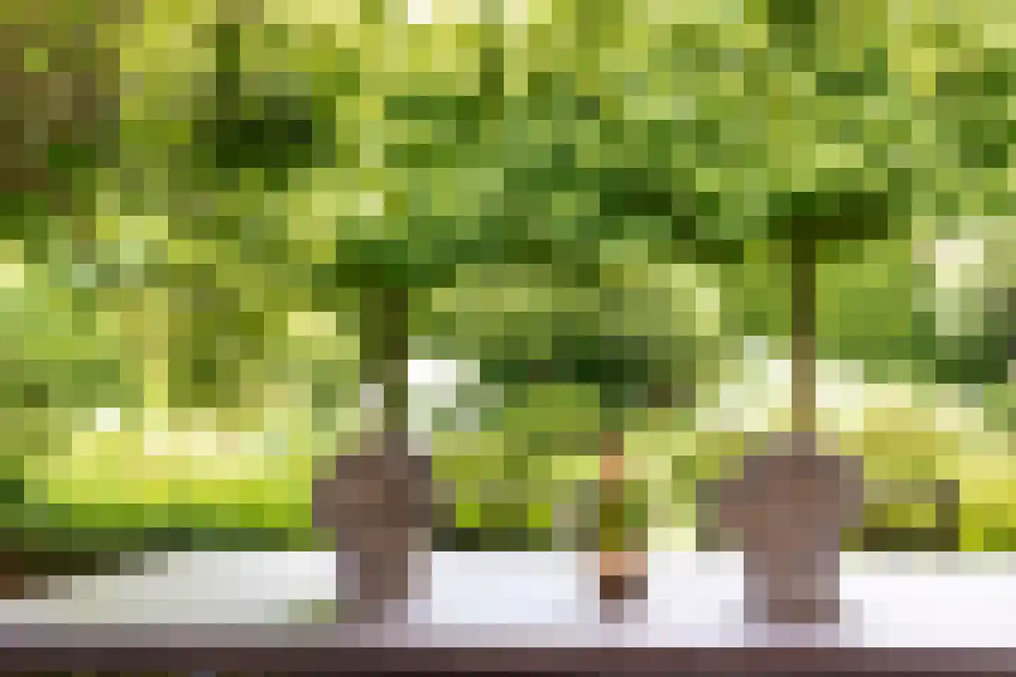 Museumlaan 7 Huizen thumbnail 32