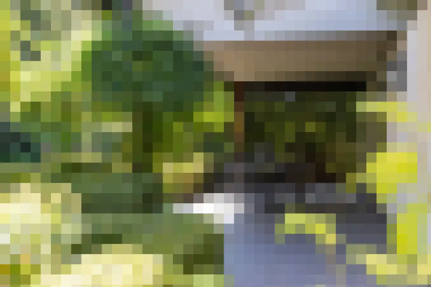 Museumlaan 7 Huizen thumbnail 33