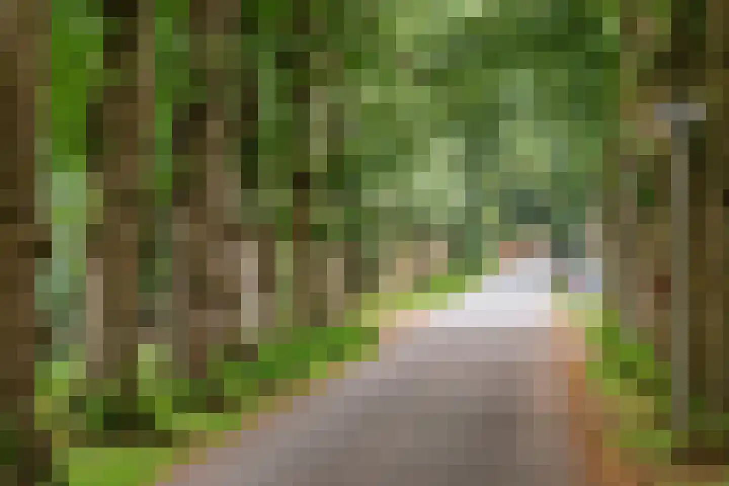 Museumlaan 7 Huizen thumbnail 37