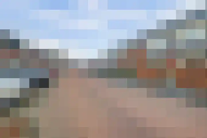 Musicaldreef 90 Harderwijk thumbnail 34