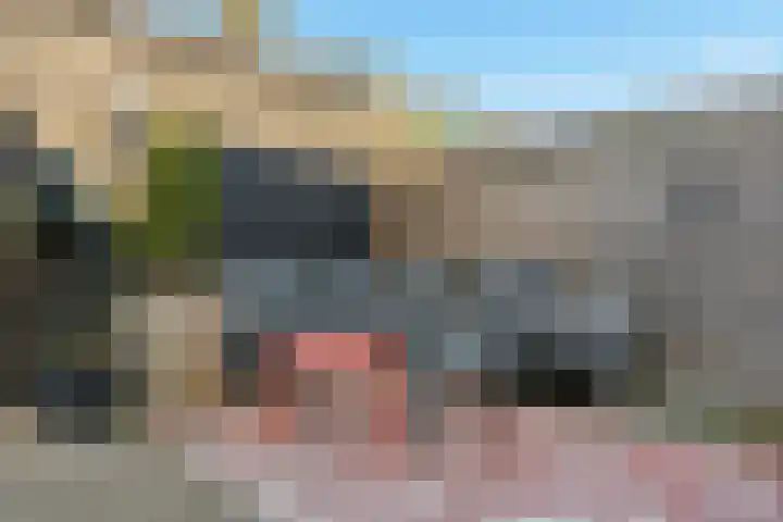 Musket 26 Heemskerk thumbnail 17