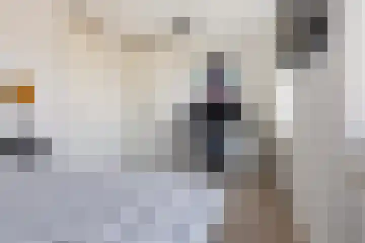 Musket 26 Heemskerk thumbnail 27