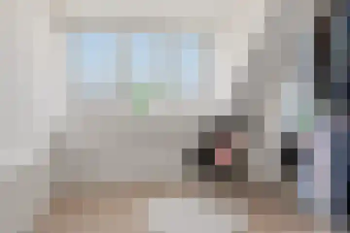 Musket 26 Heemskerk thumbnail 46