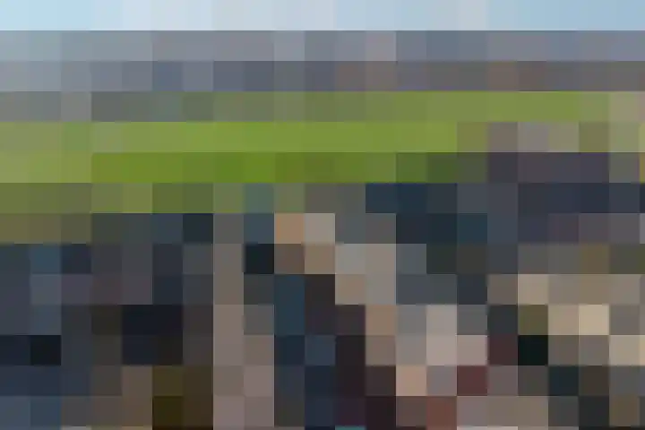 Musket 26 Heemskerk thumbnail 53