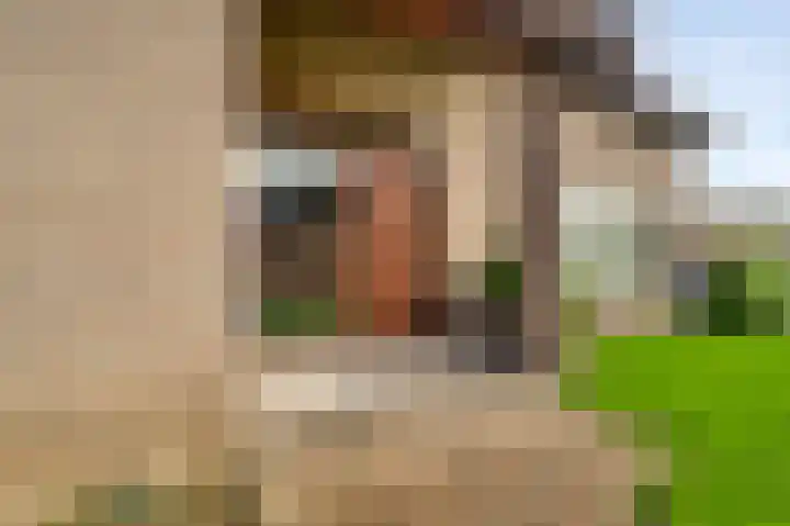 Musschenberg 115 Spaubeek thumbnail 36