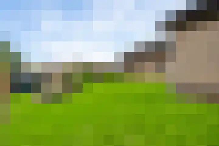 Musschenberg 115 Spaubeek thumbnail 4