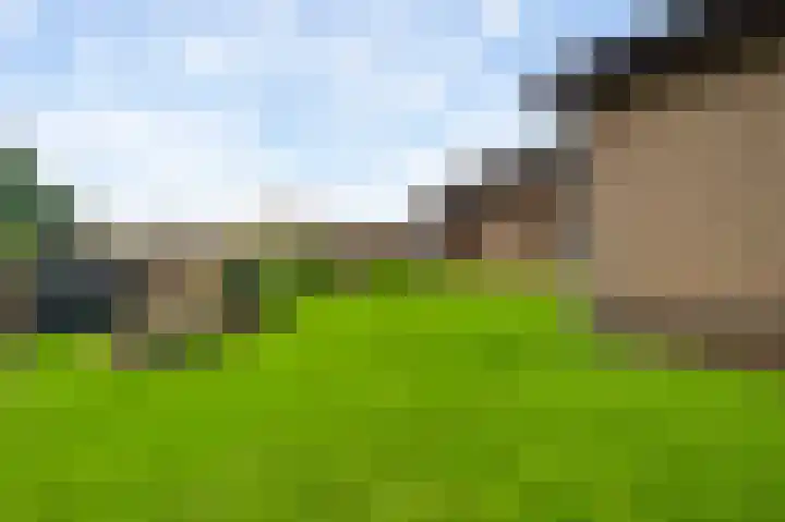 Musschenberg 115 Spaubeek thumbnail 40