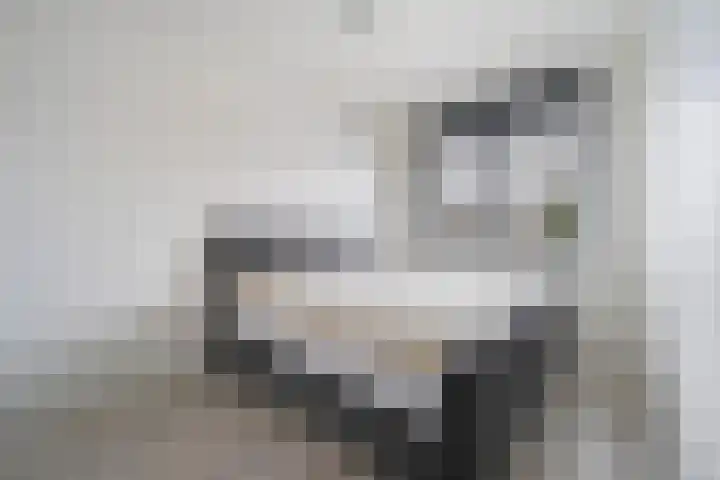 Musschenberg 115 Spaubeek thumbnail 43