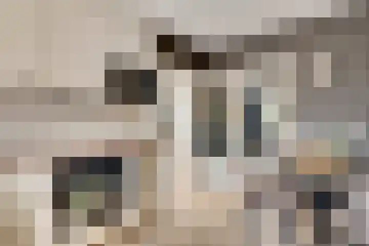 Mussenberg 16 Horn thumbnail 14