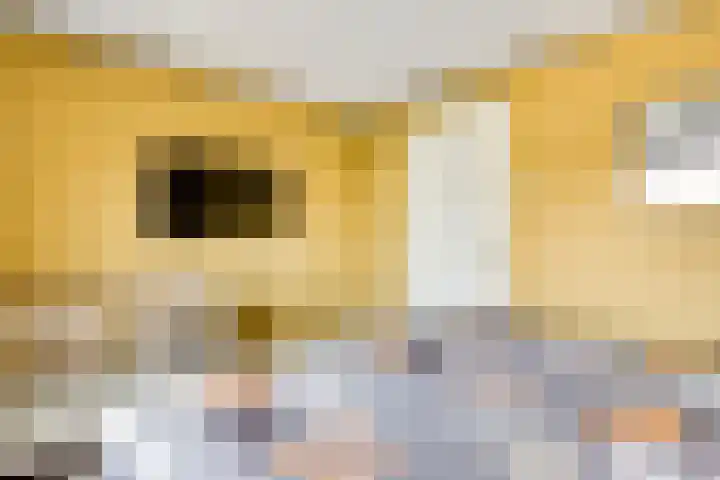 Mussenberg 16 Horn thumbnail 32