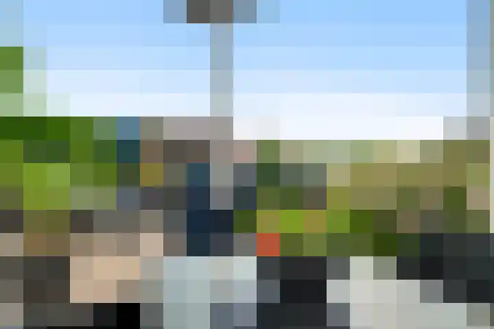 Mussenberg 16 Horn thumbnail 33